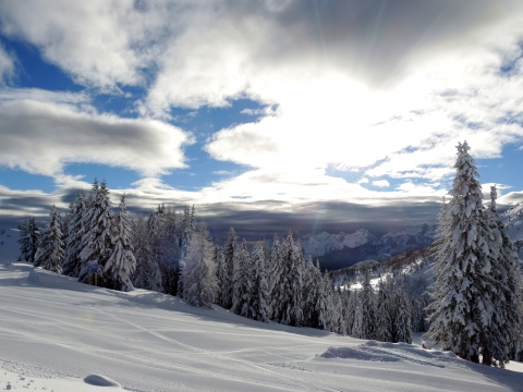 Alleghe - Col dei Baldi