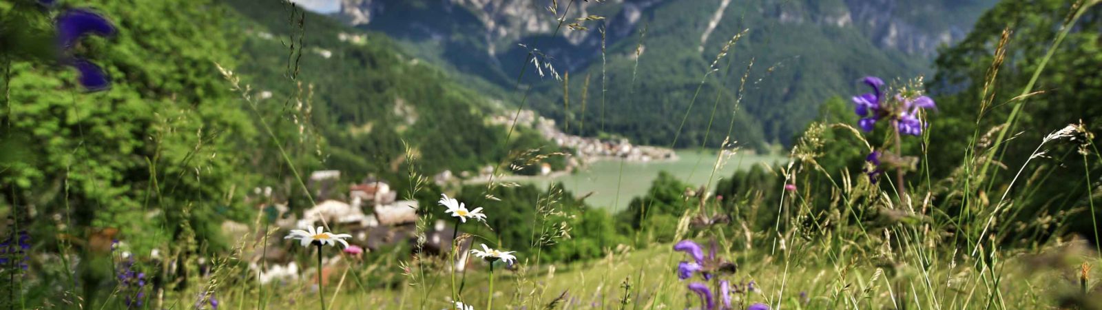 IL GIRO DEL LAGO DI ALLEGHE