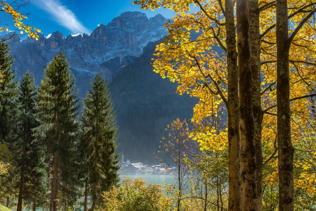 Foliage nelle Dolomiti