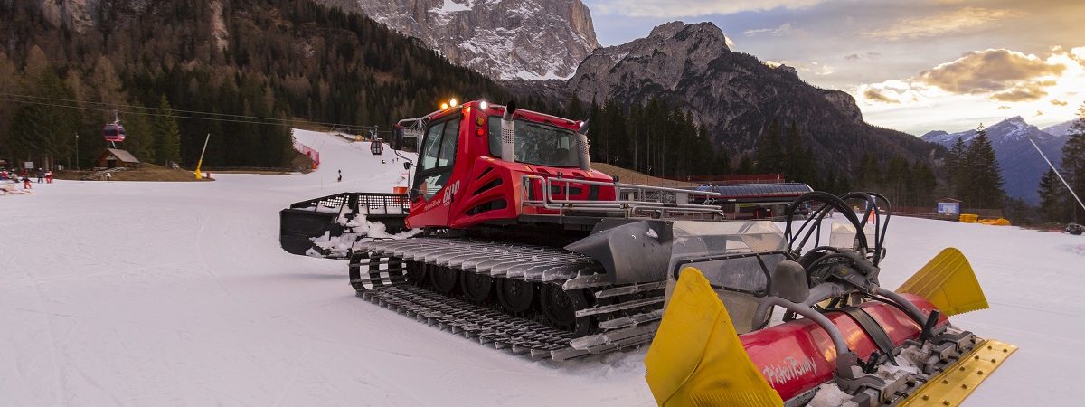 Backstage: Il nostro team di gattisti