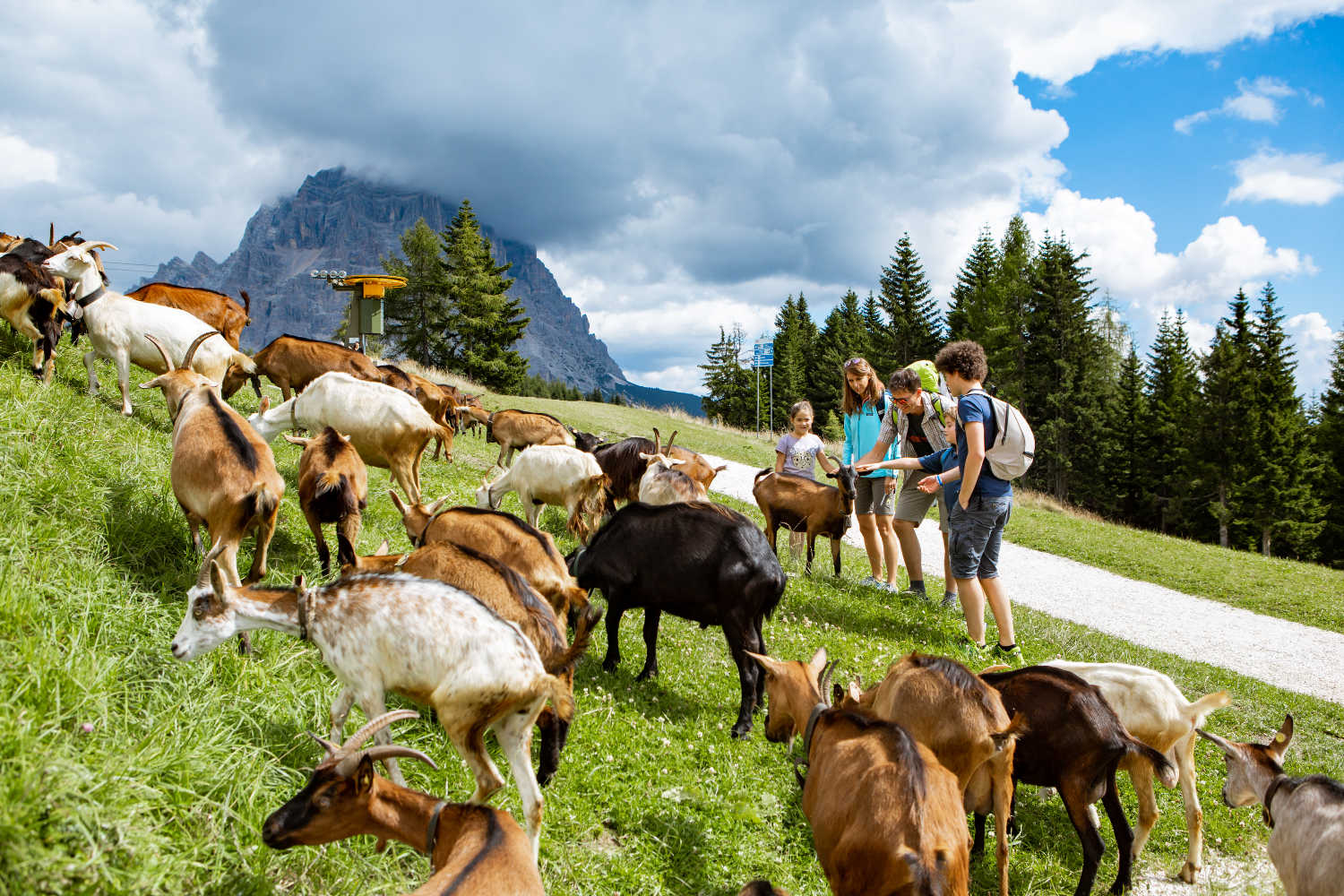 Il Tour delle malghe