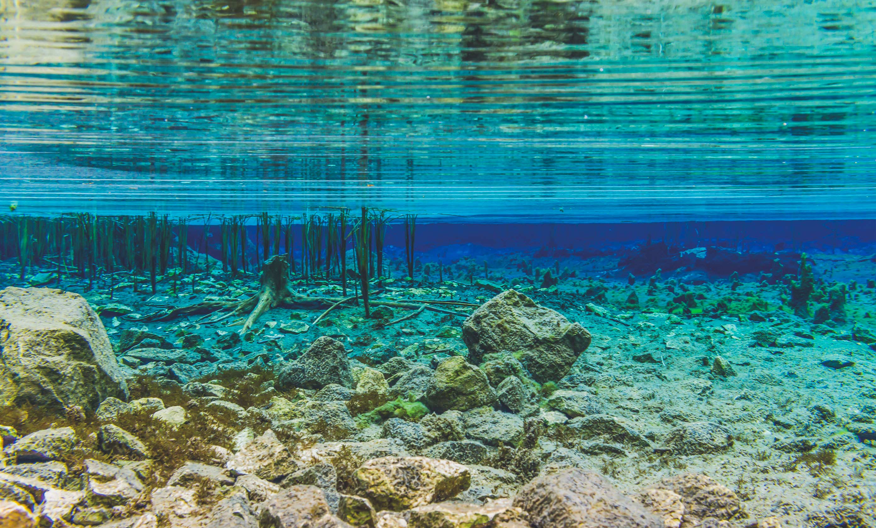Acqua Solforosa