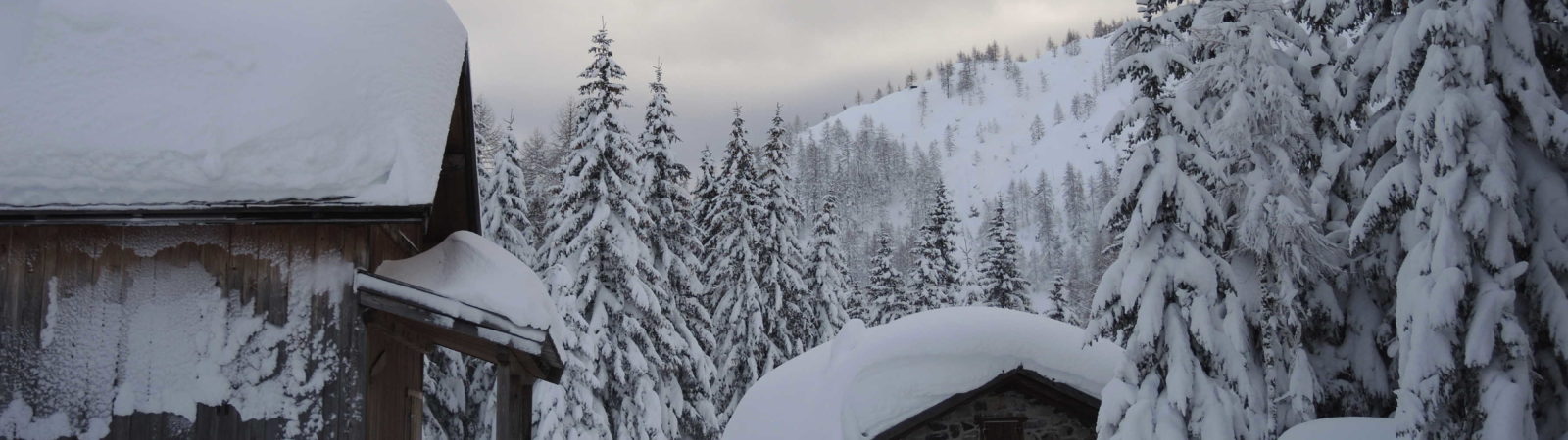 NEVICA! La magia della neve