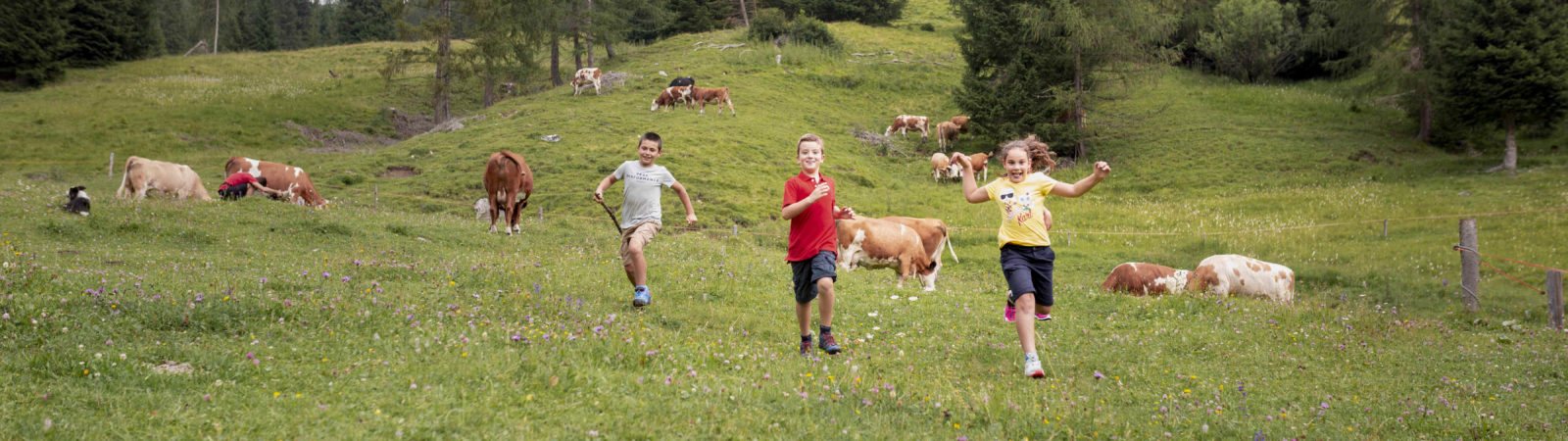 I bambini alla scoperta della montagna